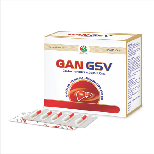 GAN GSV