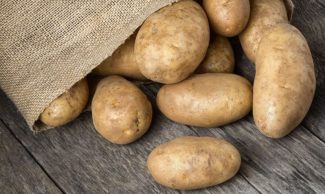 Vì sao nhiều người chọn khoai tây để trị thâm mắt?