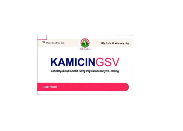 Kamicingsv – Kháng sinh điều trị ký sinh trùng, nhiễm khuẩn